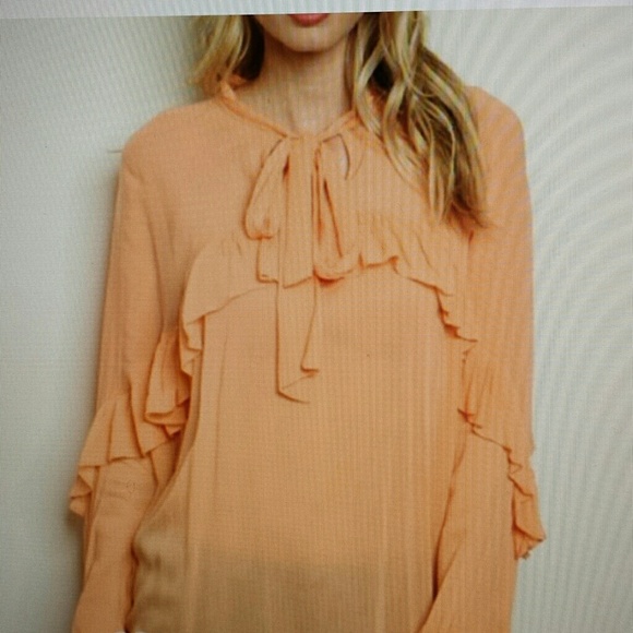 New Arrival. Ruffled long sleeve blouse - Picture 3 of 6